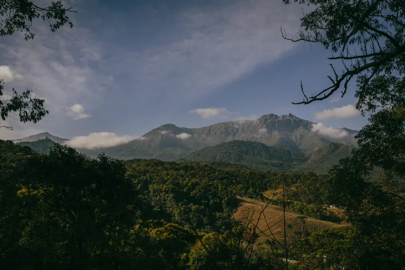 Montanhas cobertas de mata com nuvens baixas ao amanhecer.